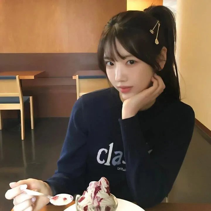 狮子狗行动
