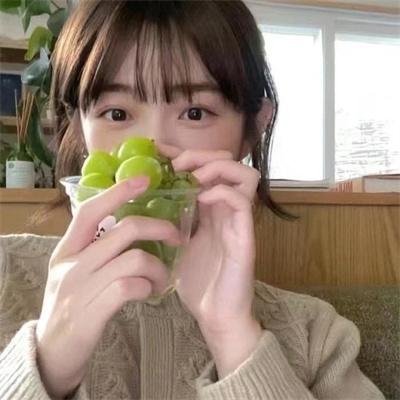 南极大冒险
